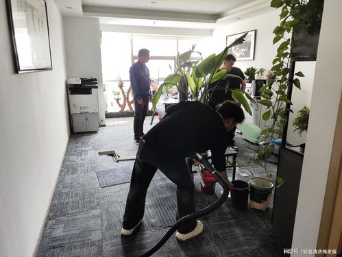 帶學員實操辦公室地毯清洗